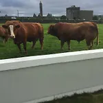 Naomh Colman 4*