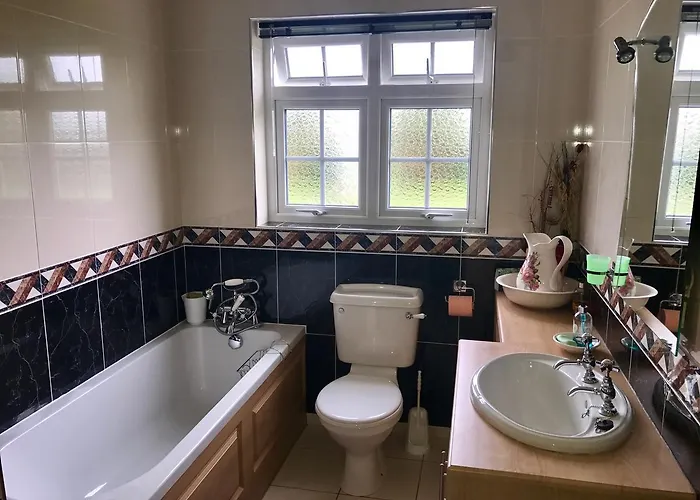 B&B Naomh Colman 고트