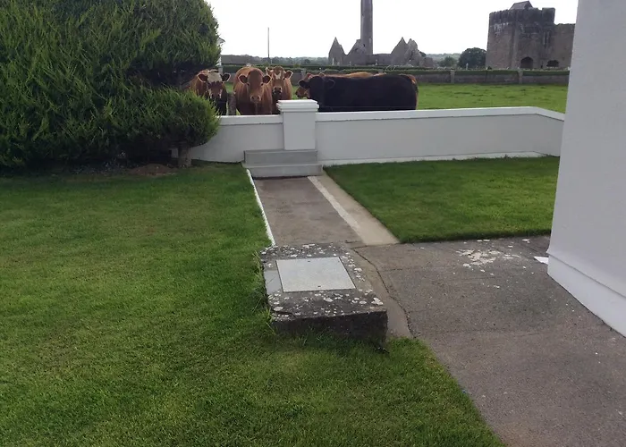 B&B Naomh Colman 고트