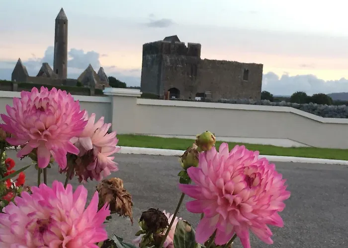 Naomh Colman B&B 고트