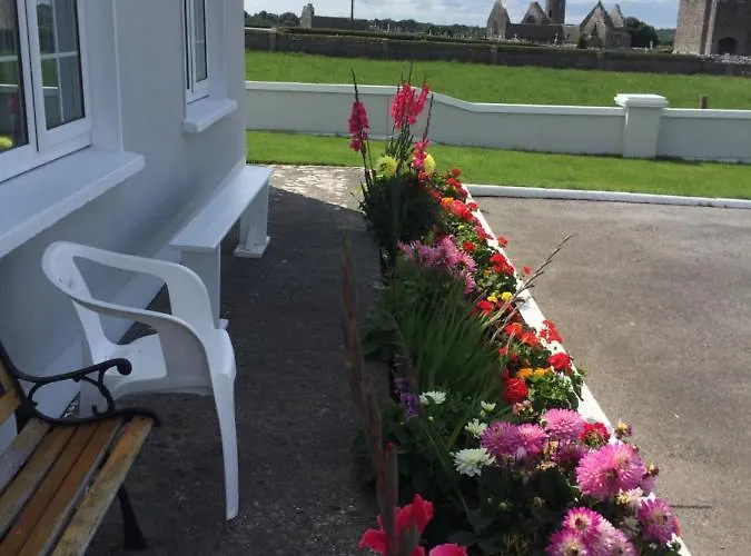 B&B Naomh Colman 고트